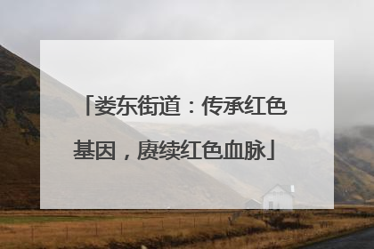 娄东街道：传承红色基因，赓续红色血脉