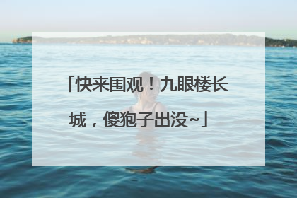 快来围观！九眼楼长城，傻狍子出没~