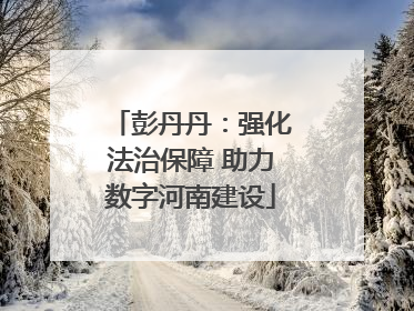彭丹丹：强化法治保障 助力数字河南建设