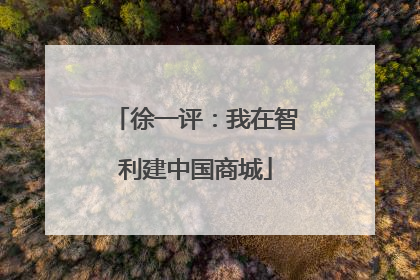 徐一评：我在智利建中国商城