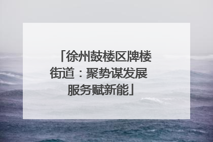 徐州鼓楼区牌楼街道：聚势谋发展 服务赋新能