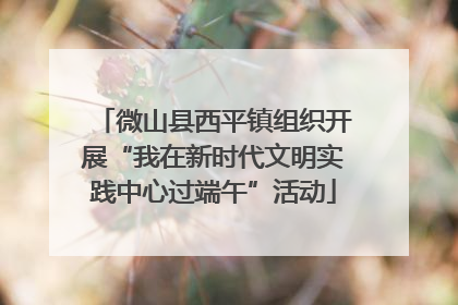 微山县西平镇组织开展“我在新时代文明实践中心过端午”活动