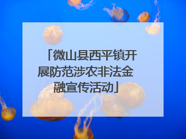 微山县西平镇开展防范涉农非法金融宣传活动