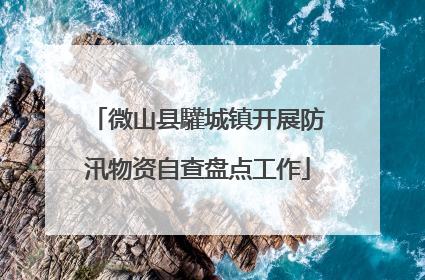 微山县驩城镇开展防汛物资自查盘点工作