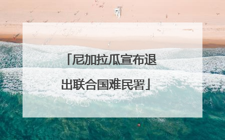 尼加拉瓜宣布退出联合国难民署
