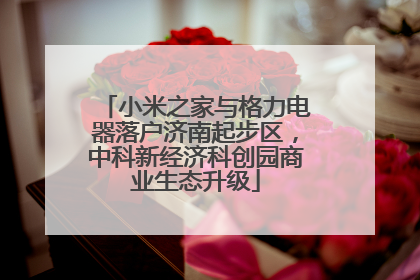 小米之家与格力电器落户济南起步区，中科新经济科创园商业生态升级