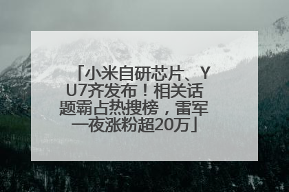 小米自研芯片、YU7齐发布！相关话题霸占热搜榜，雷军一夜涨粉超20万