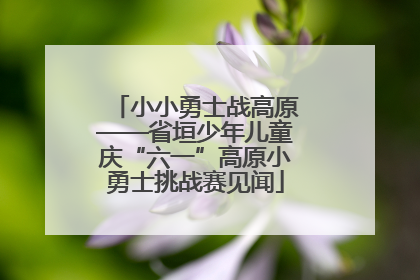 小小勇士战高原——省垣少年儿童庆“六一”高原小勇士挑战赛见闻