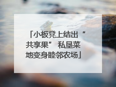 小板凳上结出“共享果” 私垦菜地变身睦邻农场