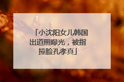 小沈阳女儿韩国出道照曝光，被指撞脸孔孝真