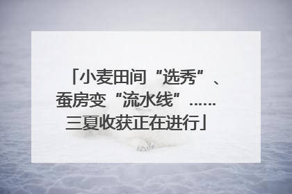 小麦田间“选秀”、蚕房变“流水线”……三夏收获正在进行
