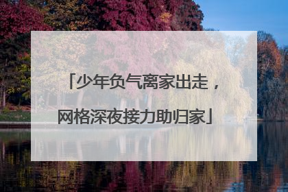 少年负气离家出走，网格深夜接力助归家