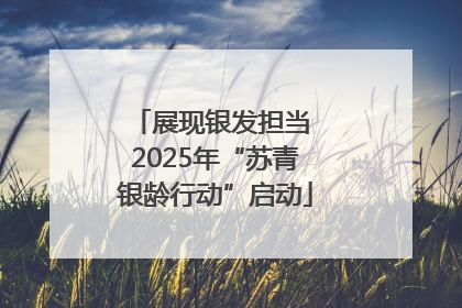 展现银发担当 2025年“苏青银龄行动”启动