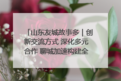 山东友城故事多｜创新交流方式 深化多元合作 聊城加速构建全球友城新格局