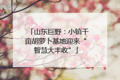 山东巨野：小镇千亩胡萝卜基地迎来“智慧大丰收”