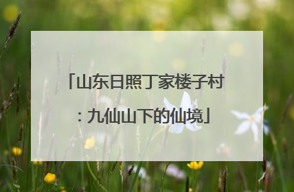 山东日照丁家楼子村：九仙山下的仙境