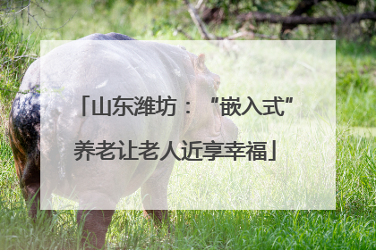 山东潍坊：“嵌入式”养老让老人近享幸福