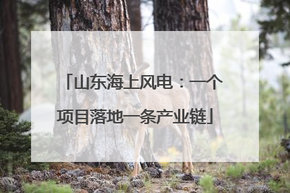 山东海上风电：一个项目落地一条产业链