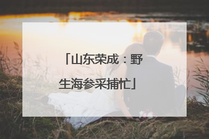 山东荣成：野生海参采捕忙