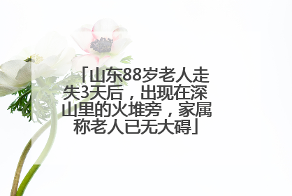 山东88岁老人走失3天后，出现在深山里的火堆旁，家属称老人已无大碍