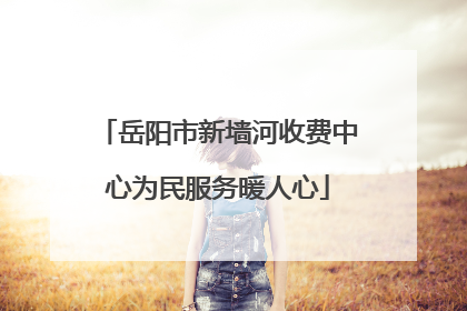 岳阳市新墙河收费中心为民服务暖人心