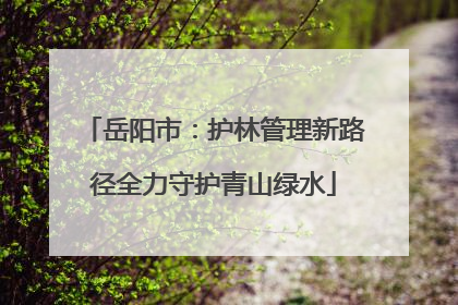 岳阳市：护林管理新路径全力守护青山绿水