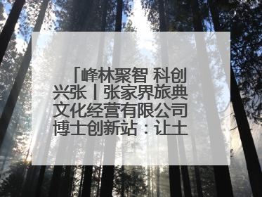 峰林聚智 科创兴张丨张家界旅典文化经营有限公司博士创新站：让土家织锦“智”造出非遗新传奇