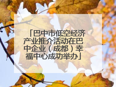 巴中市低空经济产业推介活动在巴中企业（成都）幸福中心成功举办