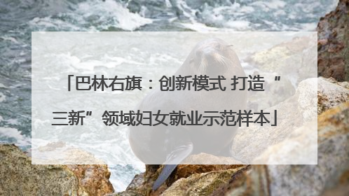 巴林右旗：创新模式 打造“三新”领域妇女就业示范样本