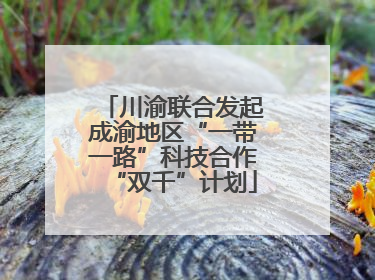 川渝联合发起成渝地区“一带一路”科技合作“双千”计划