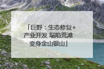 巨野：生态修复+产业开发 塌陷荒滩变身金山银山