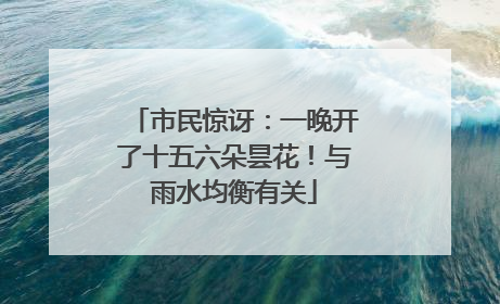 市民惊讶：一晚开了十五六朵昙花！与雨水均衡有关