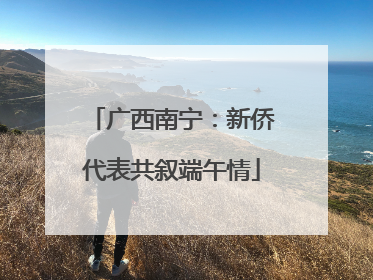 广西南宁：新侨代表共叙端午情