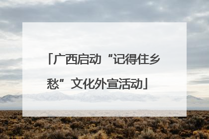 广西启动“记得住乡愁”文化外宣活动