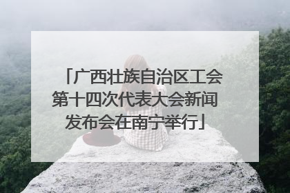 广西壮族自治区工会第十四次代表大会新闻发布会在南宁举行