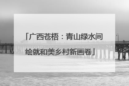 广西苍梧：青山绿水间绘就和美乡村新画卷