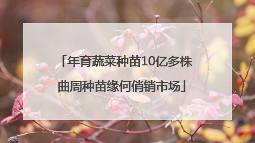年育蔬菜种苗10亿多株 曲周种苗缘何俏销市场