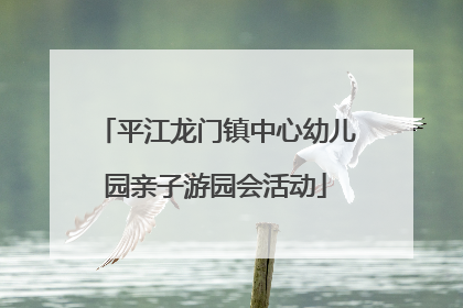 平江龙门镇中心幼儿园亲子游园会活动