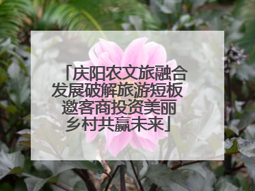 庆阳农文旅融合发展破解旅游短板 邀客商投资美丽乡村共赢未来