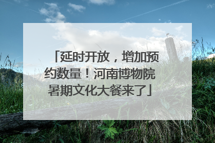 延时开放，增加预约数量！河南博物院暑期文化大餐来了