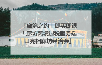 廊洽之约丨即买即退！廊坊离境退税服务端口亮相廊坊经洽会