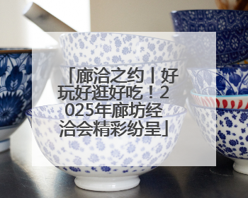 廊洽之约丨好玩好逛好吃！2025年廊坊经洽会精彩纷呈