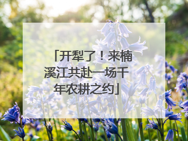 开犁了！来楠溪江共赴一场千年农耕之约