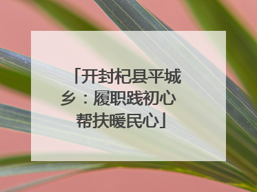 开封杞县平城乡：履职践初心 帮扶暖民心