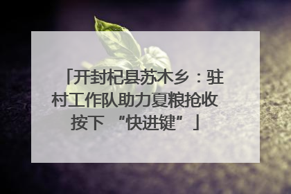 开封杞县苏木乡：驻村工作队助力夏粮抢收按下 “快进键”