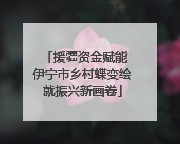 援疆资金赋能 伊宁市乡村蝶变绘就振兴新画卷