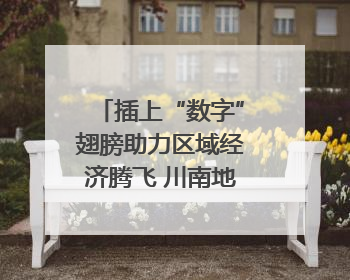 插上“数字”翅膀助力区域经济腾飞 川南地区首个智算中心启动