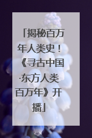 揭秘百万年人类史！《寻古中国·东方人类百万年》开播