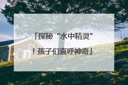 探秘“水中精灵”！孩子们直呼神奇