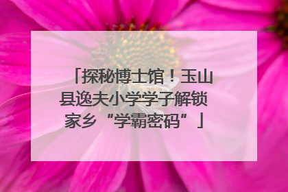 探秘博士馆！玉山县逸夫小学学子解锁家乡“学霸密码”